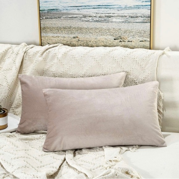 🎁 FREE ADD ON Two Velvet Throw Pillow Covers | 16''x24'', Champag… - Picture 1 of 4